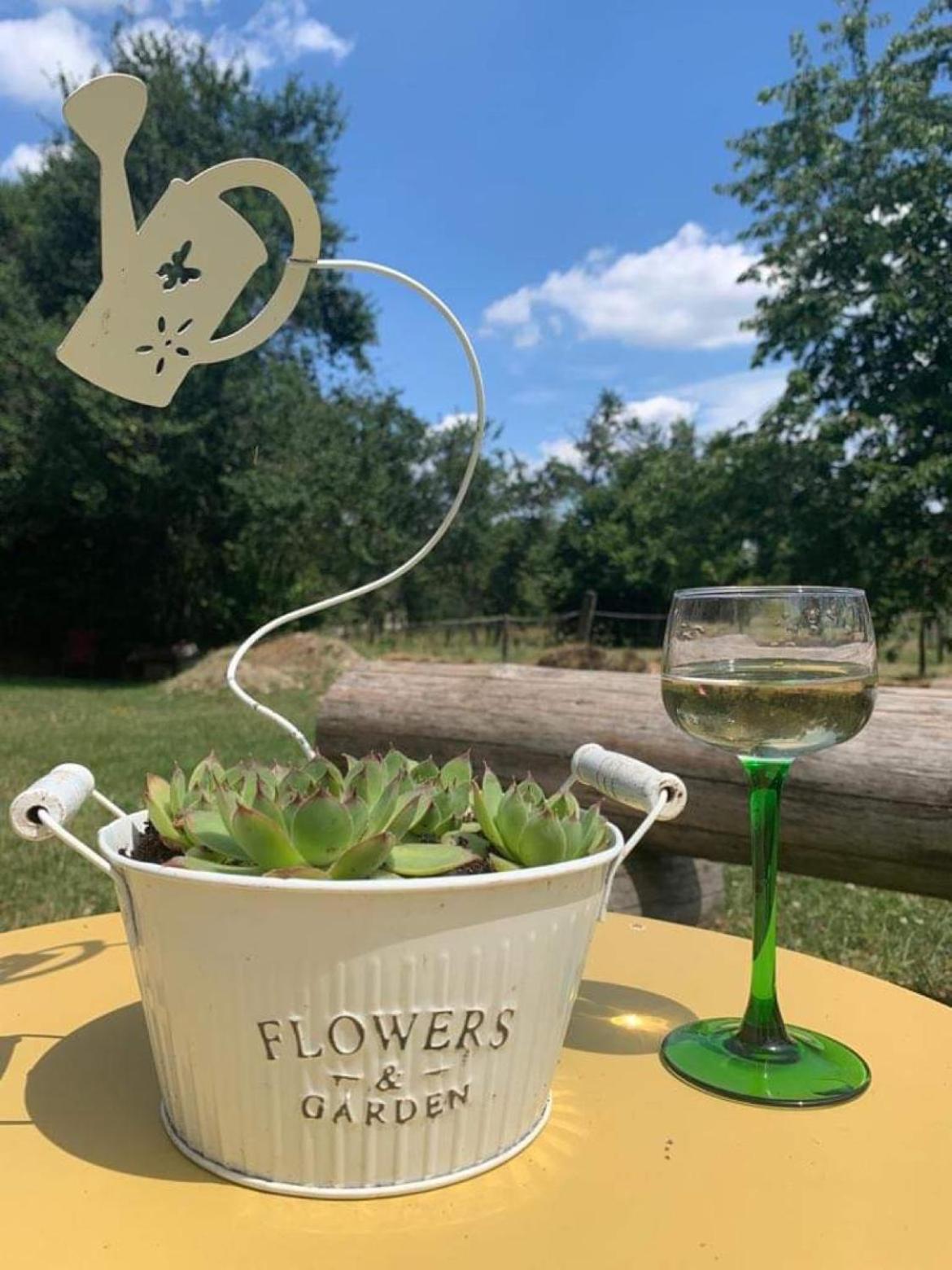 Maison D Hotes Spa Pivoine Et Colibri Domfessel Luaran gambar